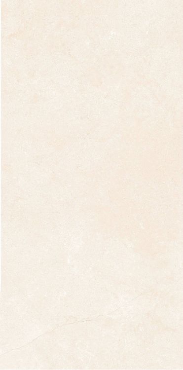 OL Marfil Matte 12 x 24